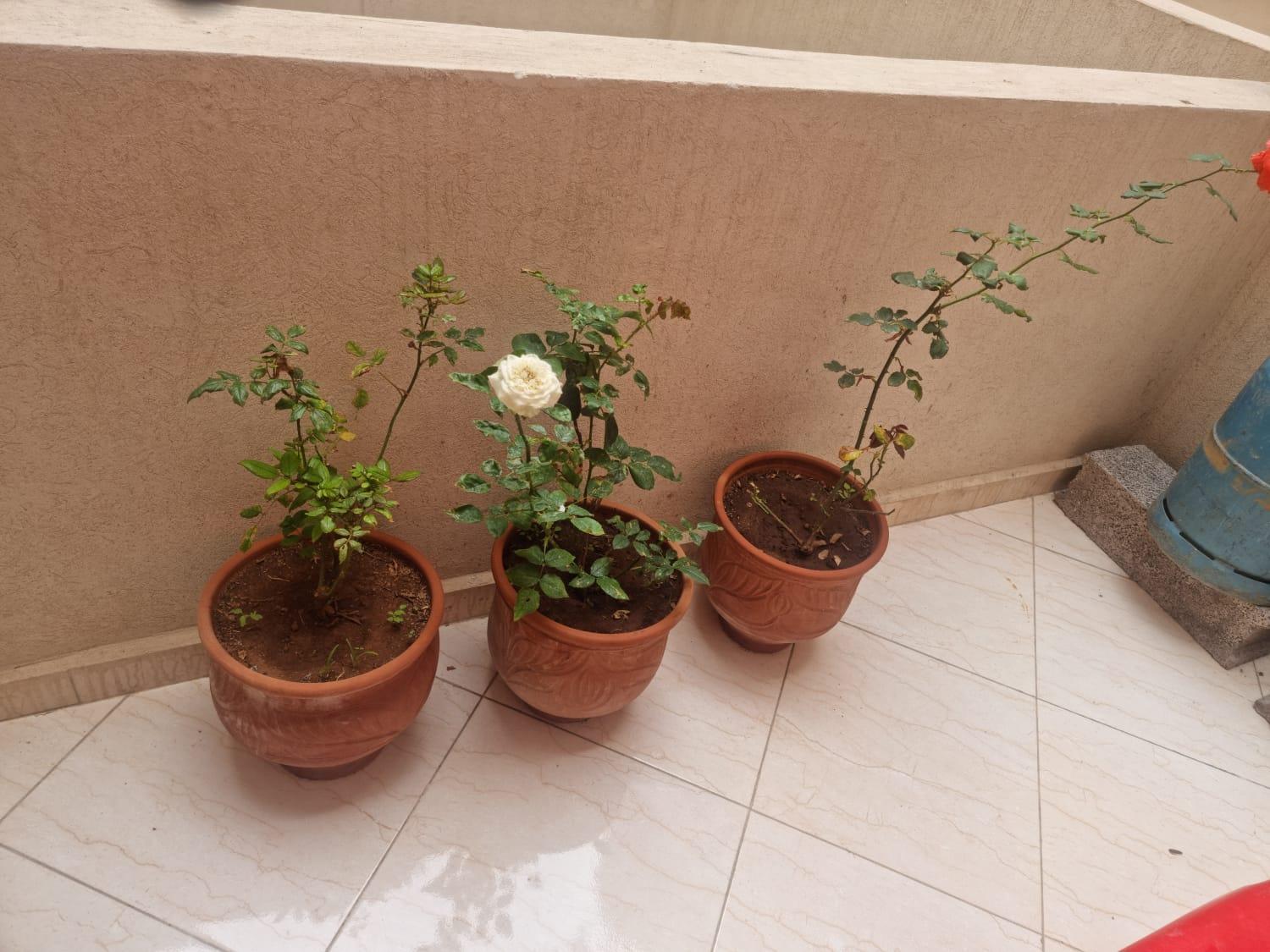 Apprt Ennakhil 3 Apartman El Jadida Kültér fotó
